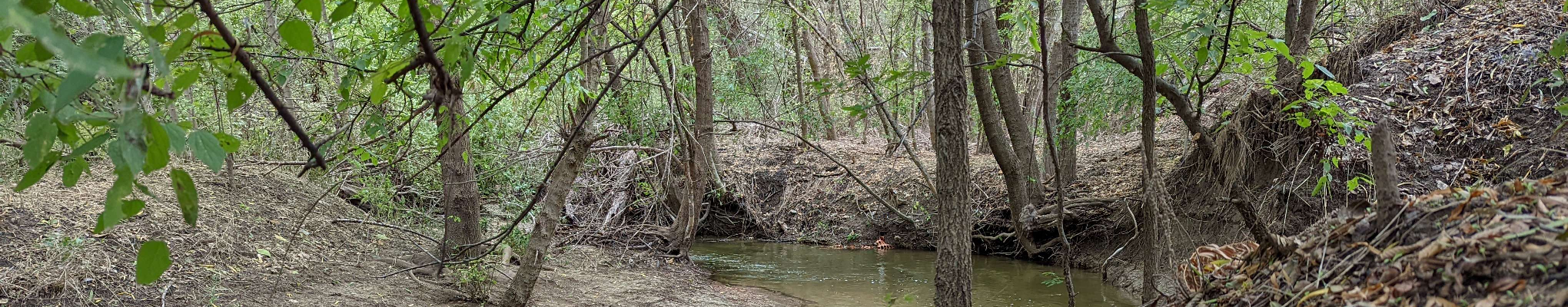 Friends of Harris Branch Creek